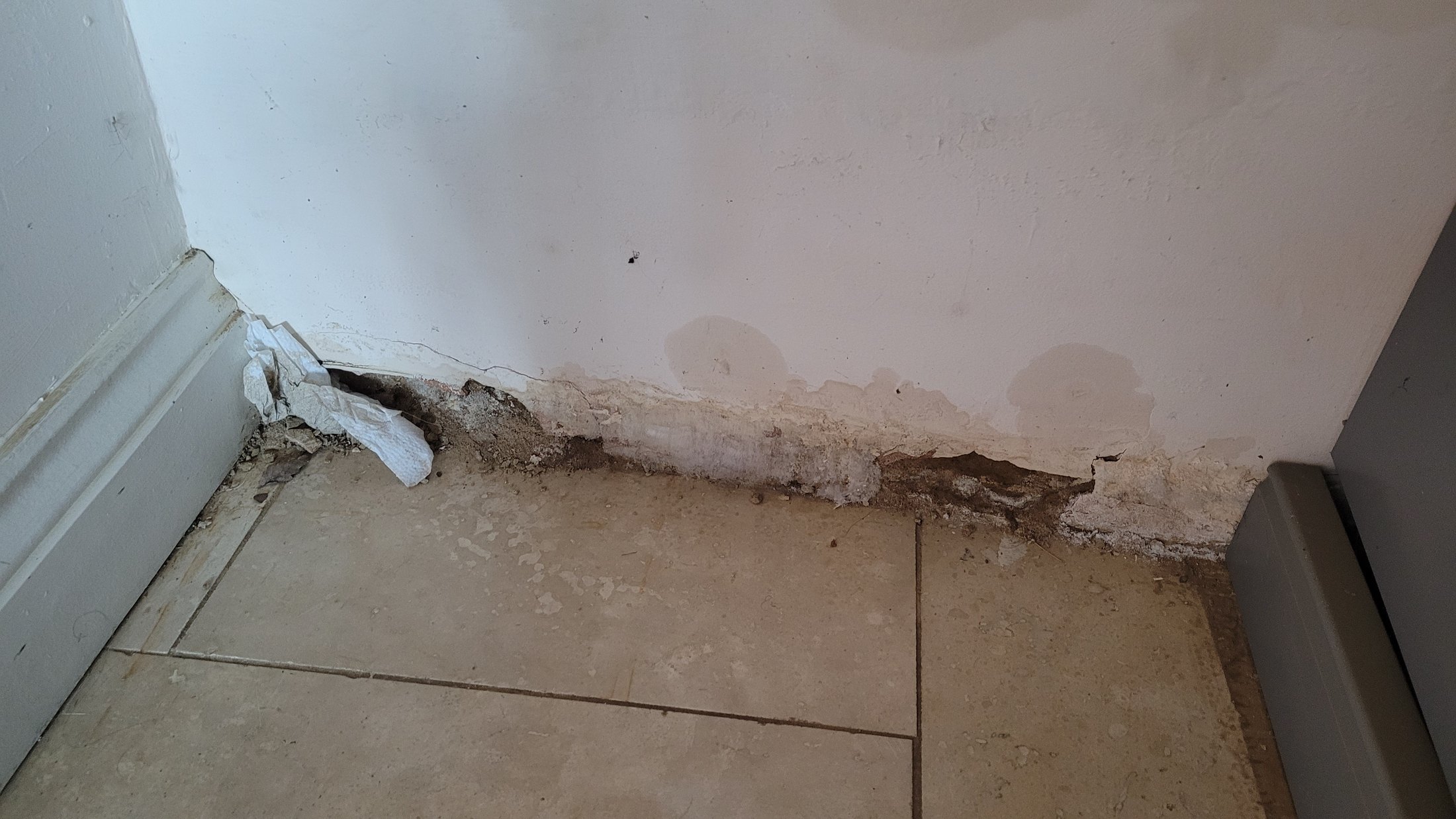 Damp and damaged wall after flooding